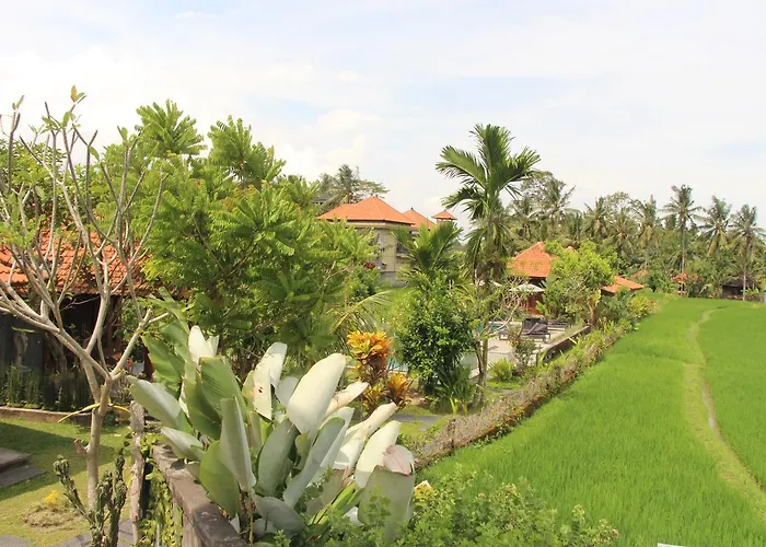 Nur By Purely Ubud